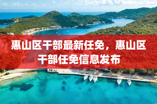 惠山区干部最新任免，惠山区干部任免信息发布