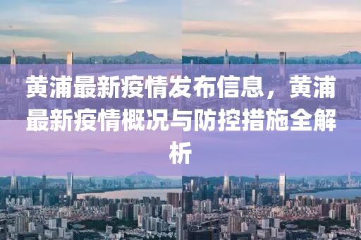 黄浦最新疫情发布信息，黄浦最新疫情概况与防控措施全解析