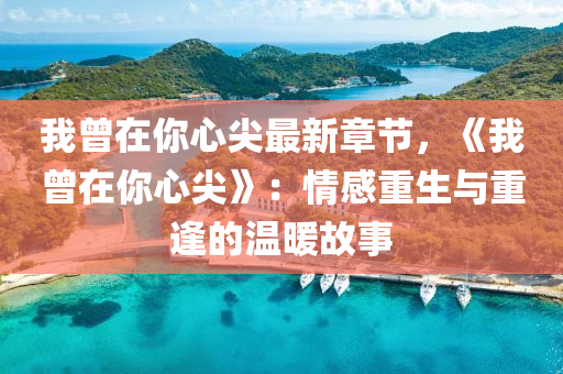 我曾在你心尖最新章节，《我曾在你心尖》：情感重生与重逢的温暖故事
