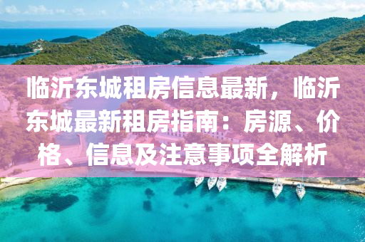 临沂东城租房信息最新，临沂东城最新租房指南：房源、价格、信息及注意事项全解析