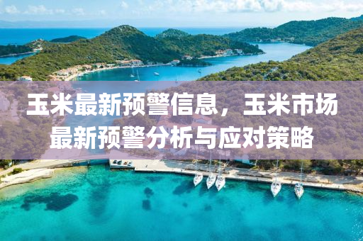 玉米最新预警信息，玉米市场最新预警分析与应对策略