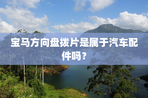 宝马方向盘拨片是属于汽车配件吗？