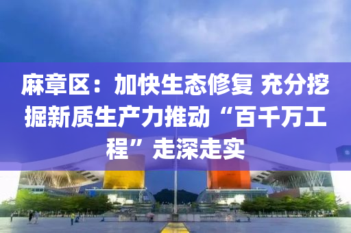 麻章区：加快生态修复 充分挖掘新质生产力推动“百千万工程”走深走实
