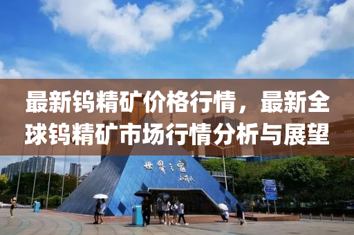 最新钨精矿价格行情，最新全球钨精矿市场行情分析与展望