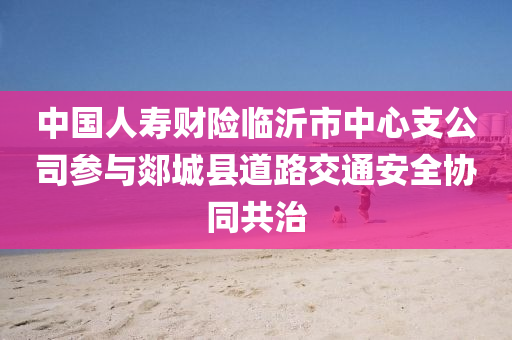 中国人寿财险临沂市中心支公司参与郯城县道路交通安全协同共治