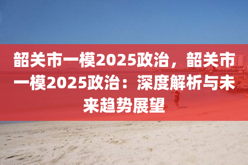韶关市一模2025政治，韶关市一模2025政治：深度解析与未来趋势展望