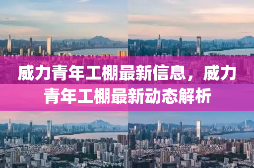 威力青年工棚最新信息，威力青年工棚最新动态解析