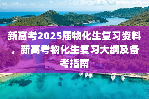 新高考2025届物化生复习资料，新高考物化生复习大纲及备考指南