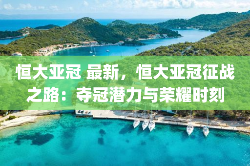 恒大亚冠 最新，恒大亚冠征战之路：夺冠潜力与荣耀时刻