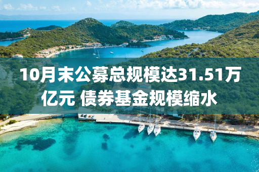 10月末公募总规模达31.51万亿元 债券基金规模缩水