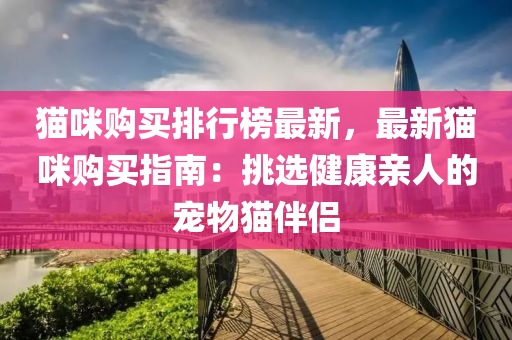 猫咪购买排行榜最新，最新猫咪购买指南：挑选健康亲人的宠物猫伴侣