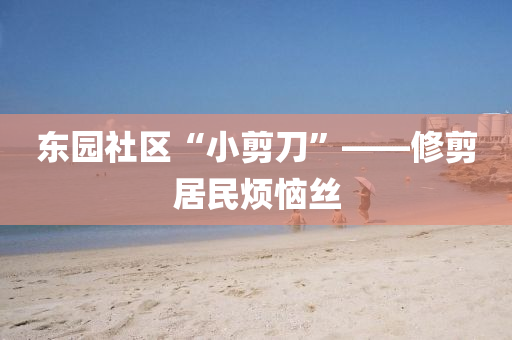 东园社区“小剪刀”——修剪居民烦恼丝