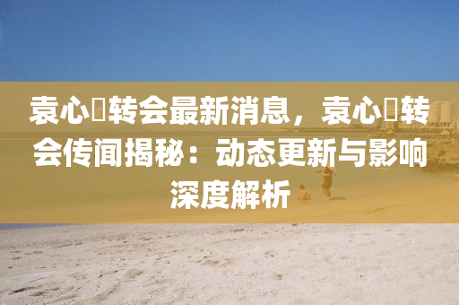 袁心玥转会最新消息，袁心玥转会传闻揭秘：动态更新与影响深度解析