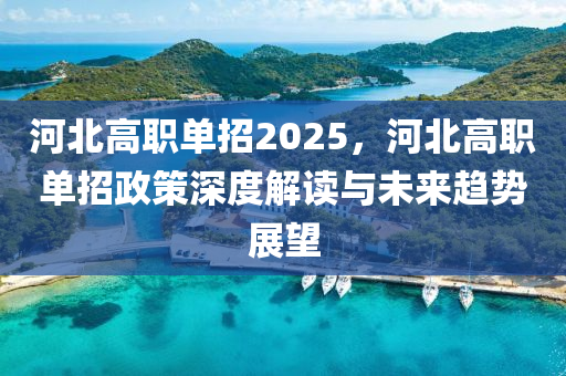 河北高职单招2025，河北高职单招政策深度解读与未来趋势展望