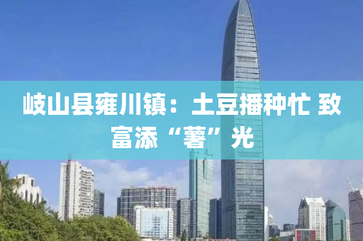 岐山县雍川镇：土豆播种忙 致富添“薯”光