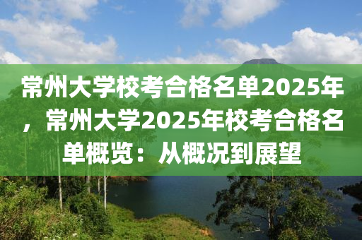 常州大学校考合格名单2025年，常州大学2025年校考合格名单概览：从概况到展望