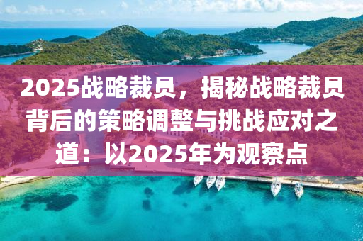 2025战略裁员，揭秘战略裁员背后的策略调整与挑战应对之道：以2025年为观察点