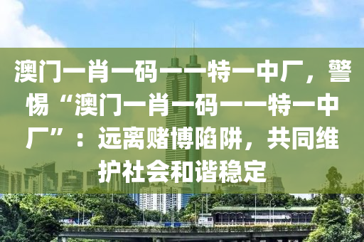 2024年12月6日 第146页