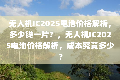 无人机IC2025电池价格解析，多少钱一片？，无人机IC2025电池价格解析，成本究竟多少？