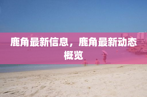 鹿角最新信息，鹿角最新动态概览