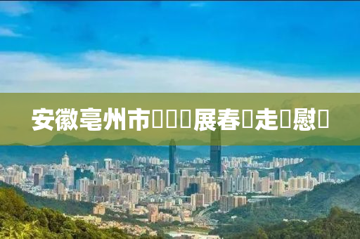 安徽亳州市臺辦開展春節走訪慰問