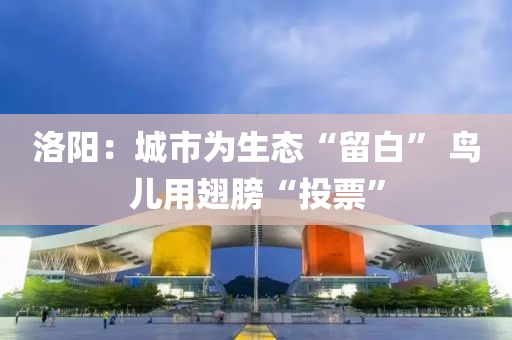 洛阳：城市为生态“留白” 鸟儿用翅膀“投票”