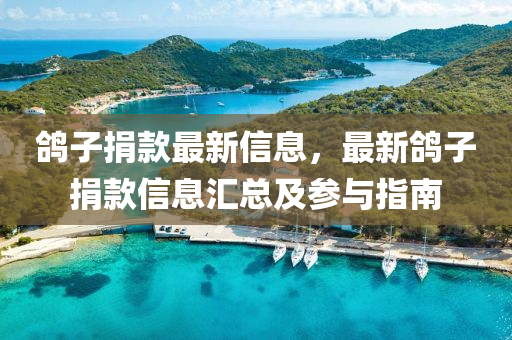 鸽子捐款最新信息，最新鸽子捐款信息汇总及参与指南