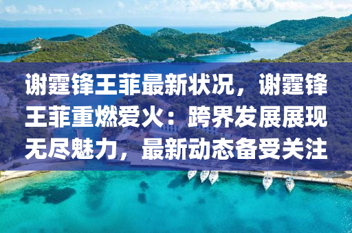2025年1月29日 第61页