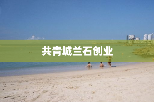 linzizhu 第17页