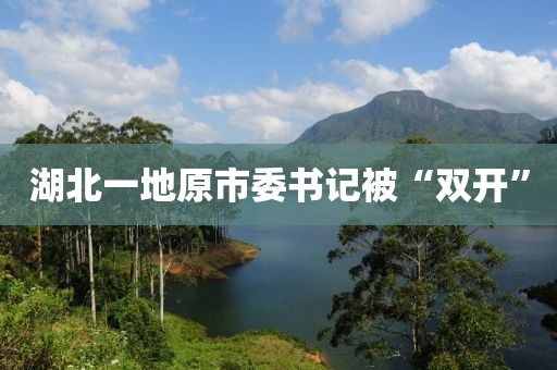 湖北一地原市委书记被“双开”