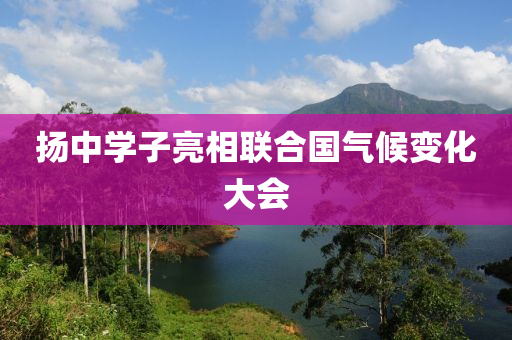 扬中学子亮相联合国气候变化大会