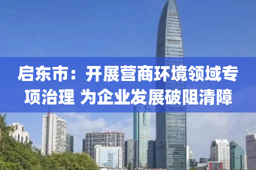 启东市：开展营商环境领域专项治理 为企业发展破阻清障