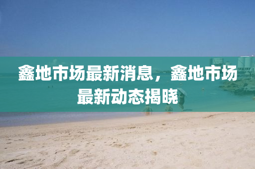 鑫地市场最新消息，鑫地市场最新动态揭晓