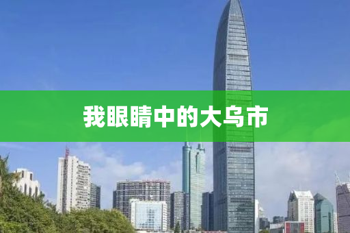 我眼睛中的大乌市