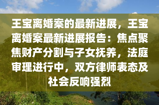 王宝离婚案的最新进展，王宝离婚案最新进展报告：焦点聚焦财产分割与子女抚养，法庭审理进行中，双方律师表态及社会反响强烈