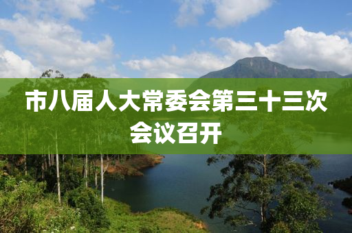市八届人大常委会第三十三次会议召开