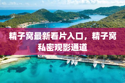 精子窝最新看片入口，精子窝私密观影通道