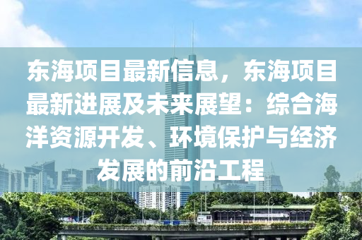 东海项目最新信息，东海项目最新进展及未来展望：综合海洋资源开发、环境保护与经济发展的前沿工程