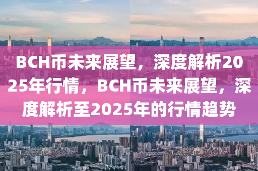 BCH币未来展望，深度解析2025年行情，BCH币未来展望，深度解析至2025年的行情趋势
