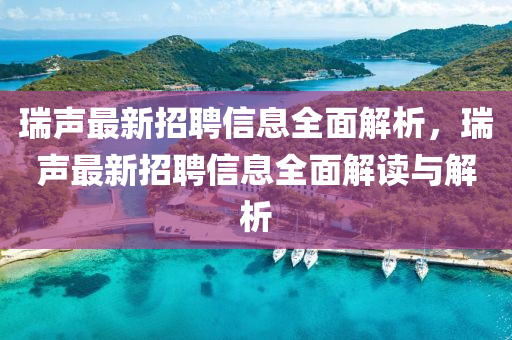 瑞声最新招聘信息全面解析，瑞声最新招聘信息全面解读与解析