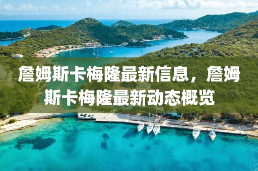 詹姆斯卡梅隆最新信息，詹姆斯卡梅隆最新动态概览