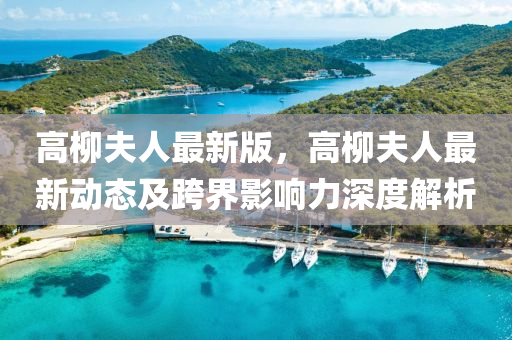 高柳夫人最新版，高柳夫人最新动态及跨界影响力深度解析