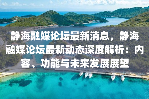 2025年1月29日 第8页