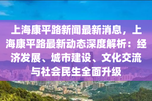 上海康平路新闻最新消息，上海康平路最新动态深度解析：经济发展、城市建设、文化交流与社会民生全面升级