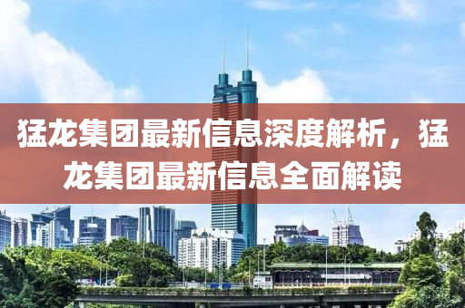 猛龙集团最新信息深度解析，猛龙集团最新信息全面解读