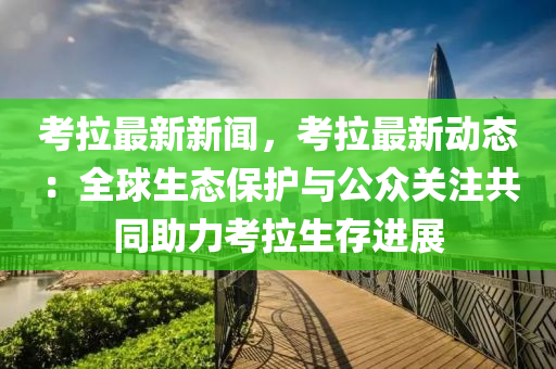 考拉最新新闻，考拉最新动态：全球生态保护与公众关注共同助力考拉生存进展