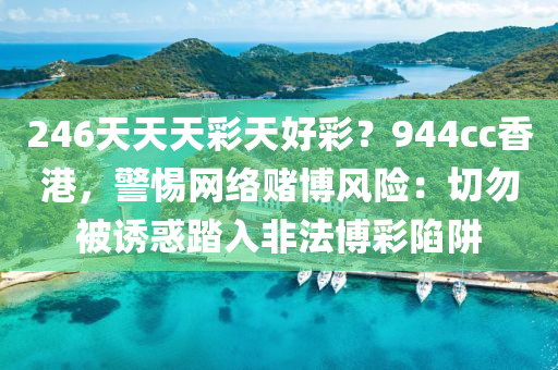 2024年12月6日 第133页