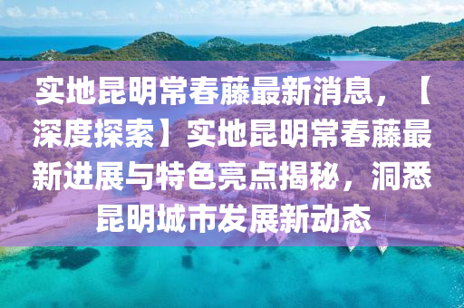 taohe 第21页