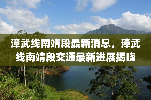 漳武线南靖段最新消息，漳武线南靖段交通最新进展揭晓