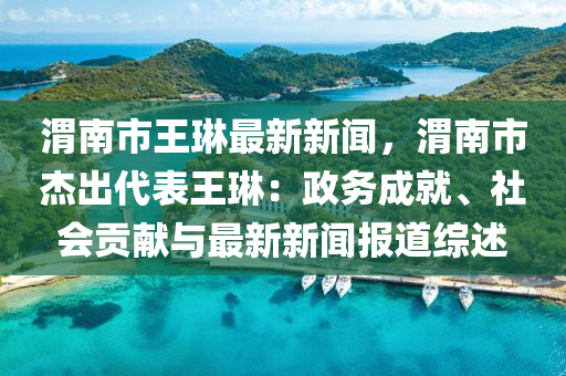 渭南市王琳最新新闻，渭南市杰出代表王琳：政务成就、社会贡献与最新新闻报道综述